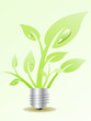 lampadina ecologica