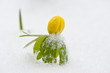 Foto: Winterling Winterling