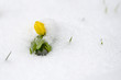 Foto: Winterling Winterling