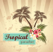 Tropical paradise.Vector illustration Tropical paradise.Vector illustration