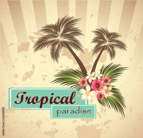 Vector: Tropical paradise.Vector illustration Tropical paradise.Vector illustration