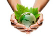 planète terre mains écologie / green earth globe in hands planète terre mains écologie / green earth globe in hands
