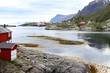 Lofoten