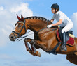 Photo : Equestrian jumper - horsewoman and bay mare