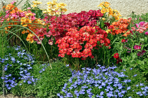 Photo: Colorful flowers Colorful flowers