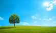Foto: landscape landscape