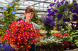 Foto: young female gardener in the greenhouse young female gardener in the greenhouse