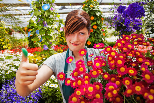 Foto: the green thumb the green thumb