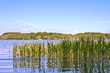 Am See
