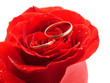 rose and rings