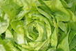 salade 1