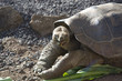 Isla san cristobal,islas galapagos Ecuador