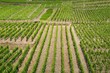 Landschaft Rheinland-Ahr