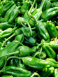 pimientos de padron pimientos de padron
