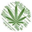 Marihuana