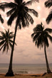 Tioman island, Malaysia ..