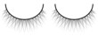 beautiful vector eyelashes isolated on white background