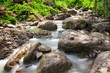 waterfall in summer woods