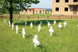 Military graveyard