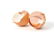 Eggshells