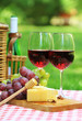Red wine in the garden