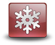 Red 3D Effect Icon "Winter Recreation"