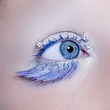 Blue eye macro closeup winter makeup jewels diamonds Blue eye macro closeup winter makeup jewels diamonds