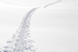 Snowshoe traces in winter landscape