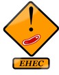 Escherichia coli - EHEC