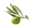 Olive