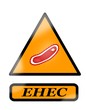Escherichia coli - EHEC