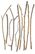 Sticks isolated