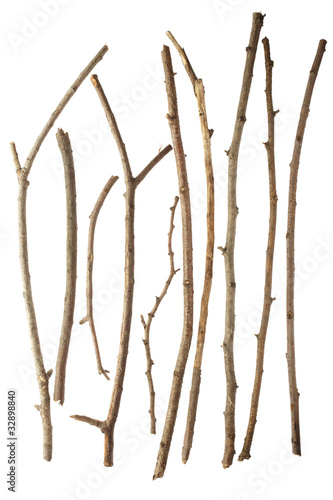 Photo: Sticks isolated Sticks isolated