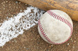 A baseball and a bat
