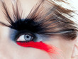Foto: black bird woman eye makeup macro black bird woman eye makeup macro