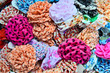 Variety of colorful hair accessories