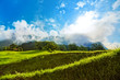 Alps landscape