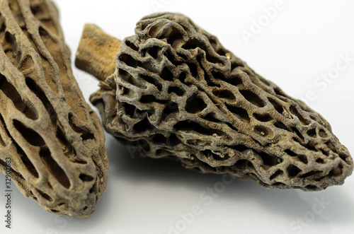 Foto: getrocknete Morcheln getrocknete Morcheln