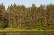 Ostrowy
