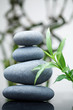 Massage stones with bamboo