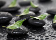 Massage stones with leaf