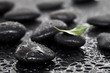 Massage stones with leaf