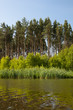 Ostrowy