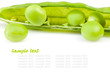 ripe green peas