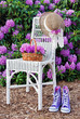 Azalea summer garden