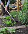 jardinier en train de biner