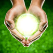 mains écologie / green globe in hands
