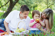 Young family of three on a picnic