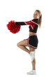 Cheerleading poses