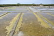marais salant
